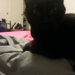 1150740_626663650698837_578998485_o